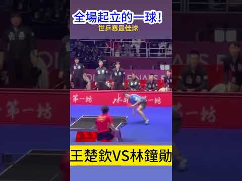 中国短道速,滑混合接力,首尔站斩获,开云体育,KaiYun,开云体育网址,开云app,开云官网,开云集团